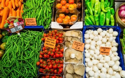 The Best Food Experiences In Palma de Mallorca Beyond Restaurant